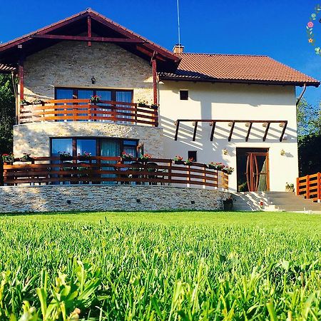 Pensiunea Casa Florela Capusu Mic Dış mekan fotoğraf