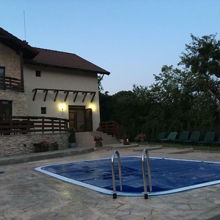 Pensiunea Casa Florela Capusu Mic Dış mekan fotoğraf