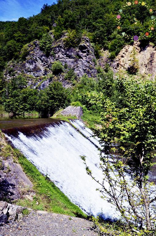 Pensiunea Casa Florela Capusu Mic Dış mekan fotoğraf