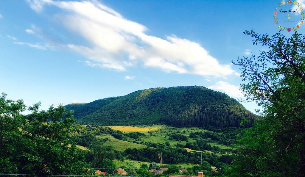 Pensiunea Casa Florela Capusu Mic Dış mekan fotoğraf